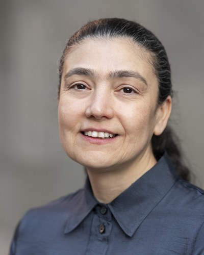 Parisa Gazerani
